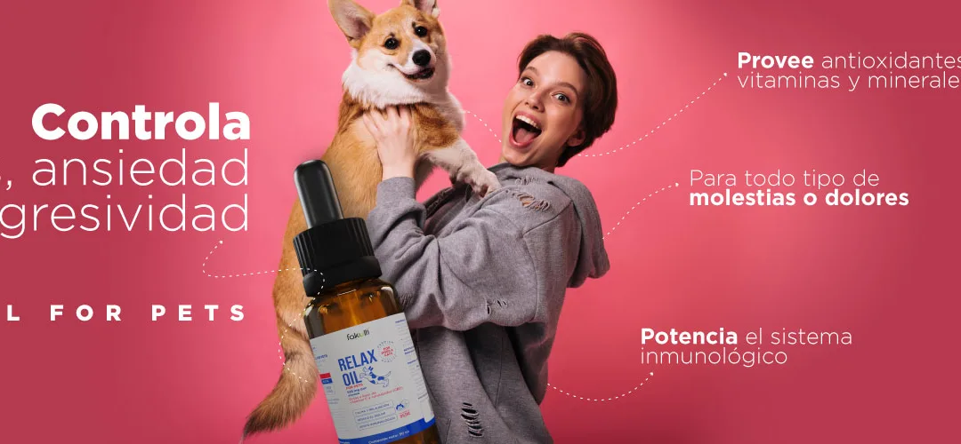 Fakulti® y el Cuidado Cannábico: CBD Oil for Pets para el Equilibrio de tus Amigos Peludos