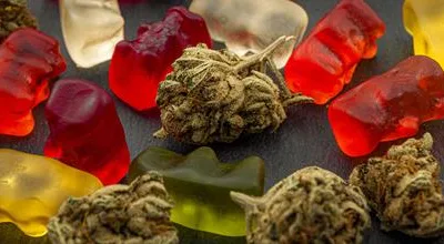 Descubre el Placer de Comprar Gomitas CBD Online con Fakulti