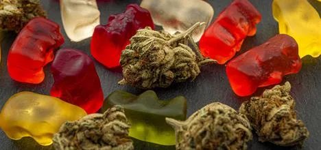 Descubre el Placer de Comprar Gomitas CBD Online con Fakulti