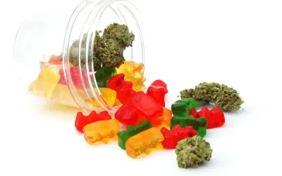 Gomitas Naturales con CBD de Fakulti: Descubre el Equilibrio en la Naturaleza