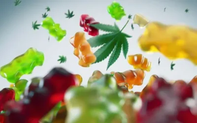 Explorando los Sabores del Bienestar: Gomitas de Cáñamo con CBD