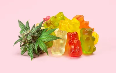 Descubre los Beneficios de las Gomitas CBD: Una Dulce Forma de Bienestar