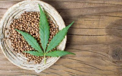 Beneficios del Uso del Cáñamo en la Medicina Natural