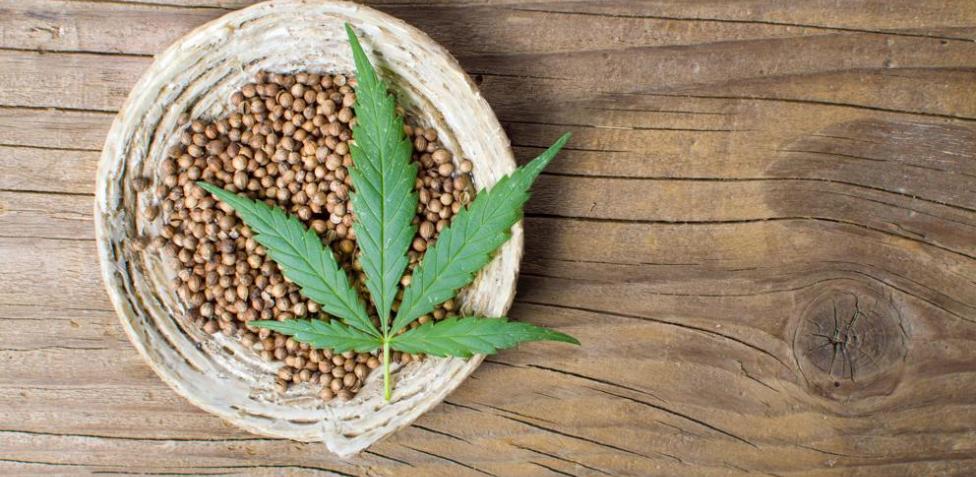 Beneficios del Uso del Cáñamo en la Medicina Natural