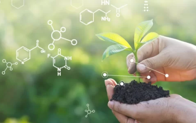 Cómo Integrar Productos Naturales en tu Rutina Diaria de Salud