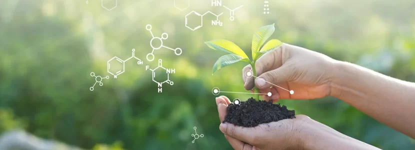 Cómo Integrar Productos Naturales en tu Rutina Diaria de Salud